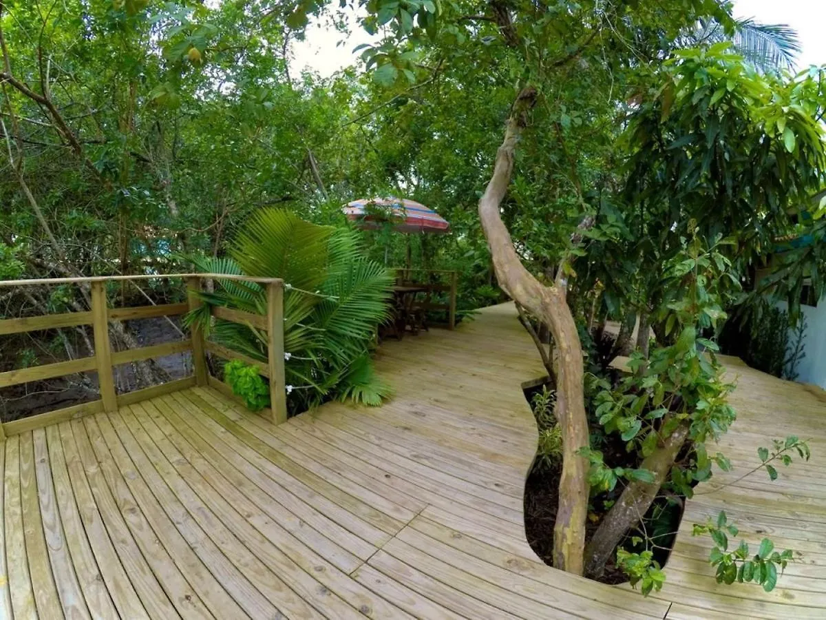 Um Paraiso Entre A Floresta E O Mar Sao Francisco do Sul Brasilien