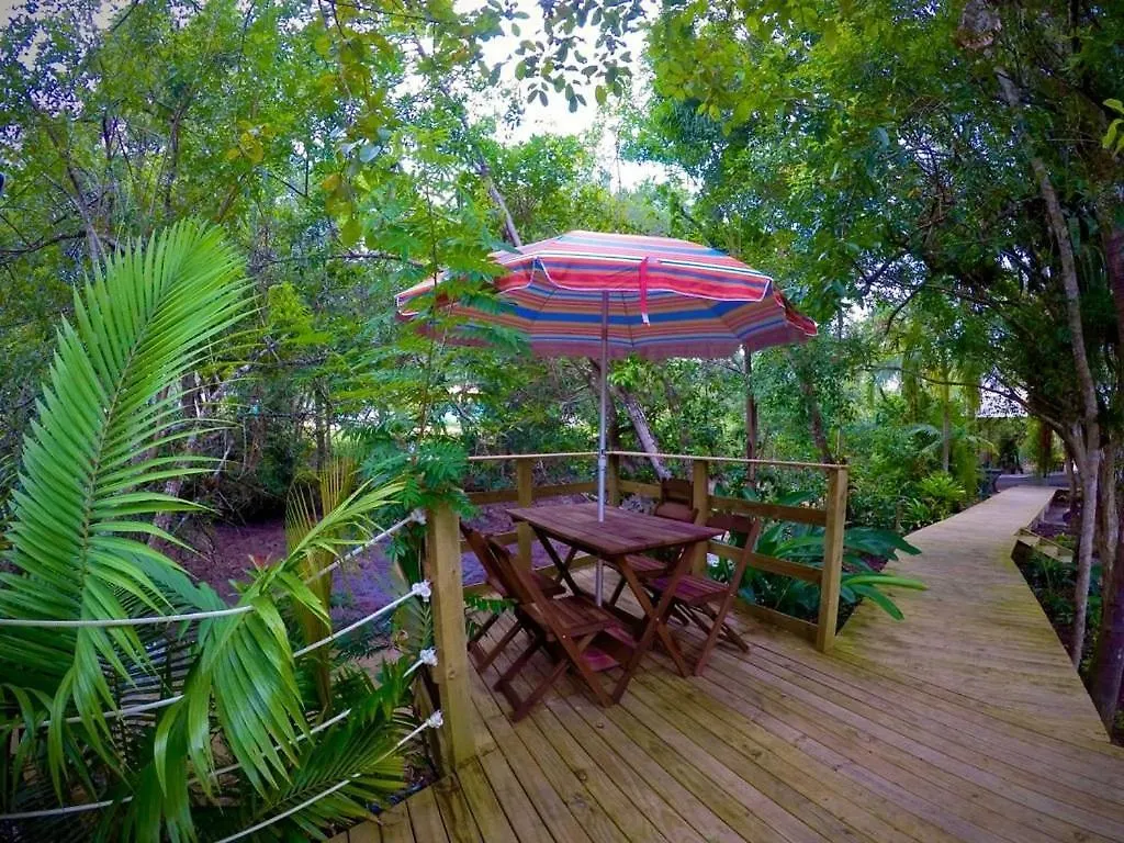 Ferienhaus Um Paraiso Entre A Floresta E O Mar Sao Francisco do Sul Brasilien