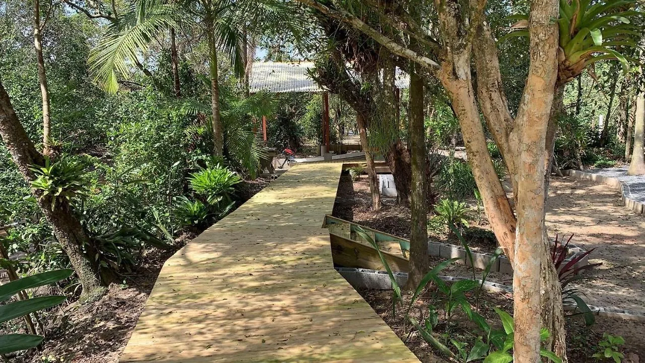 Um Paraiso Entre A Floresta E O Mar Sao Francisco do Sul