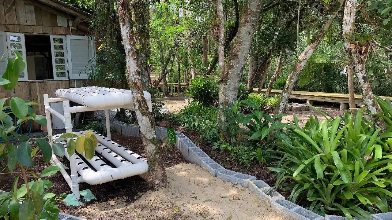 Um Paraiso Entre A Floresta E O Mar Sao Francisco do Sul 0*,